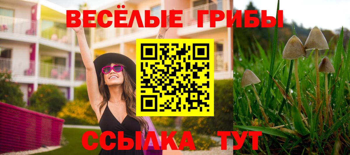 Псилоцибиновые грибы GOLDEN TEACHER Балтийск